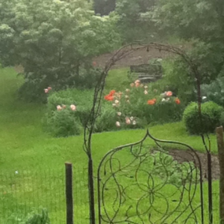 Gate to the garden